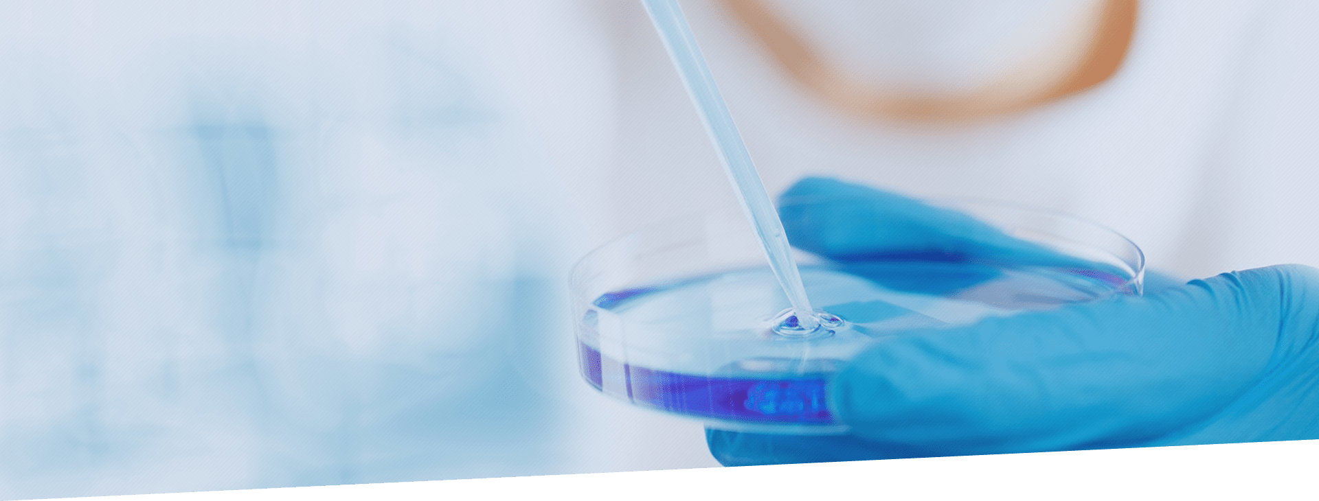 英国·bet365(中国区)中文官方网站