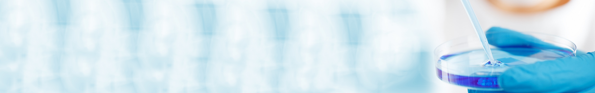 英国·bet365(中国区)中文官方网站